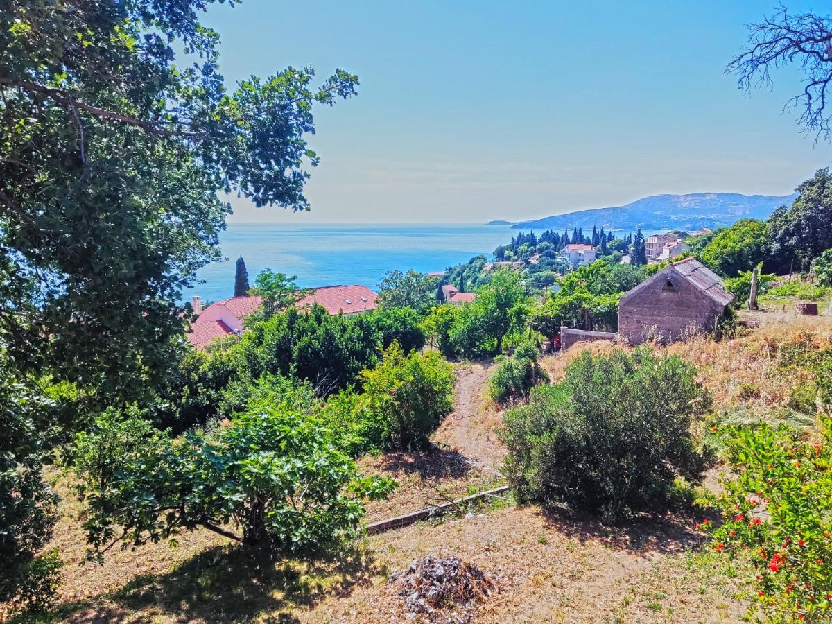 Dubrovnik Moonshine Apartment Mlini Esterno foto