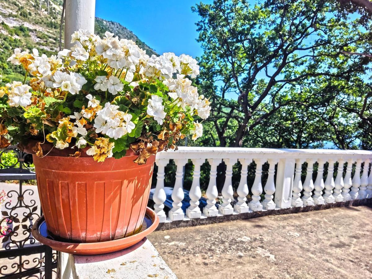Dubrovnik Moonshine Apartment Mlini Esterno foto