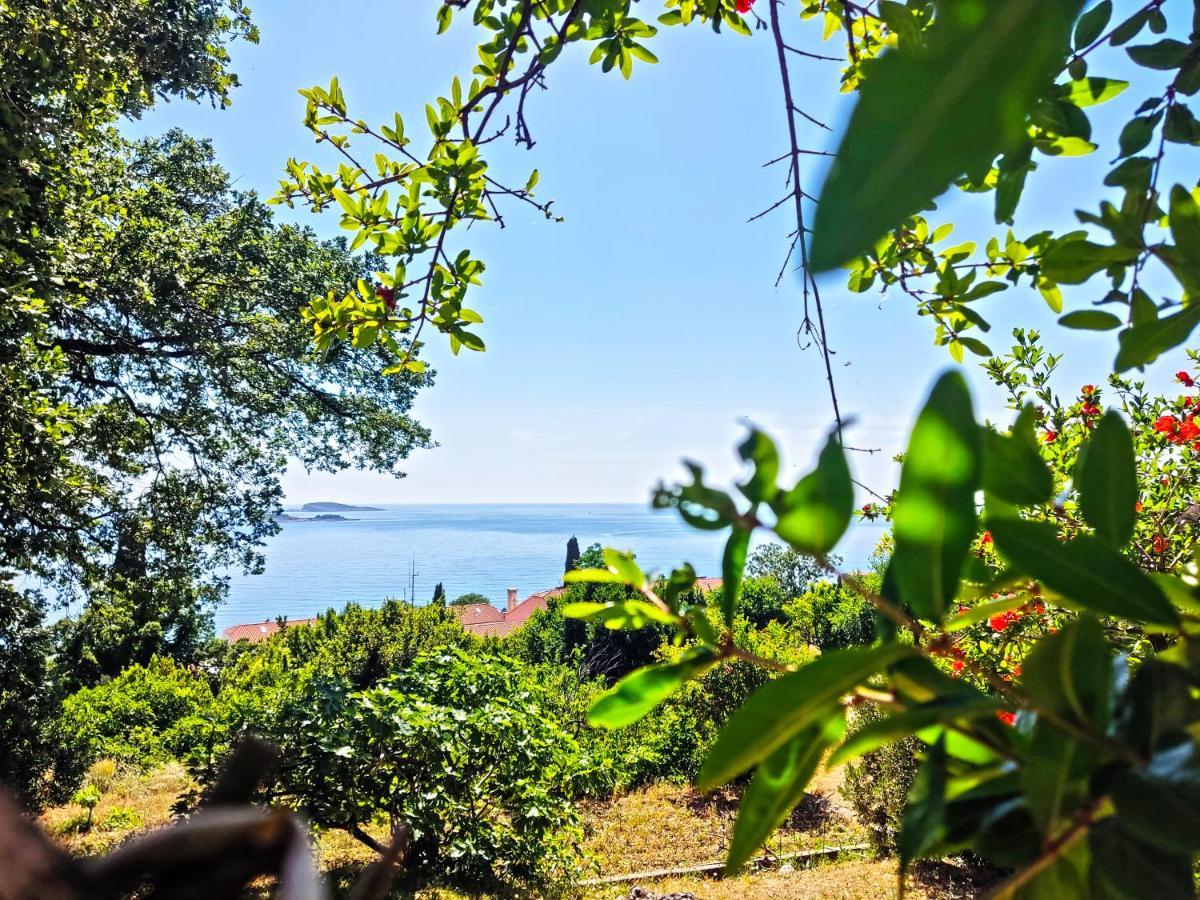 Dubrovnik Moonshine Apartment Mlini Esterno foto